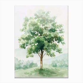 Paulownia Tree Atmospheric Watercolour Painting 4 Canvas Print