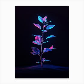 Neon Plant On Black Background 5 Canvas Print