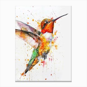 Hummingbird Colourful Watercolour 1 Canvas Print