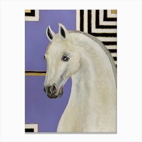 White Horse Canvas Print