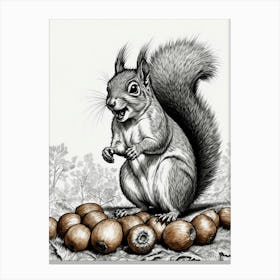 Squirrel With Nuts Canvas Print