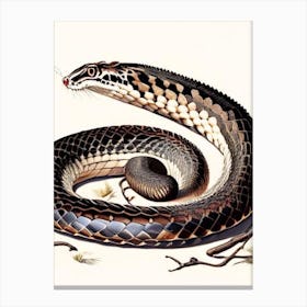 Black Tailed Rattlesnake 1 Vintage Canvas Print