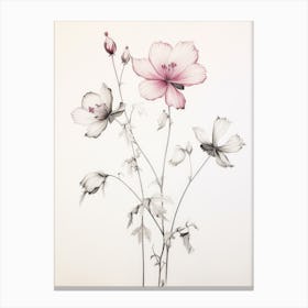 Antique Botanical Pink Flowers Canvas Print