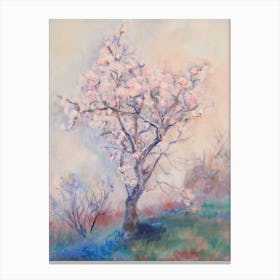 Blossoming Cherry Tree 1 Canvas Print