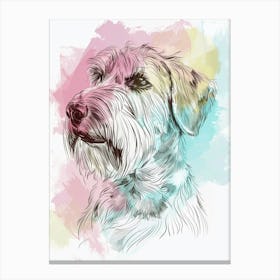 Spinone Dog Line Watercolour Illustration Canvas Print