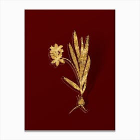 Vintage Gladiolus Plicatus Botanical in Gold on Red n.0366 Canvas Print