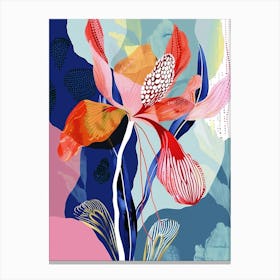 Colourful Flower Illustration Cyclamen 4 Canvas Print