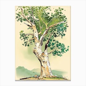 Sycamore Tree Storybook Illustration 2 Canvas Print