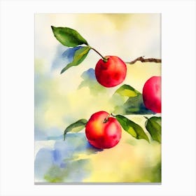Barbados Cherry Italian Watercolour fruit Canvas Print