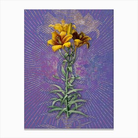 Vintage Fire Lily Botanical Illustration on Veri Peri n.0275 Canvas Print