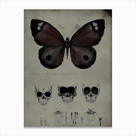 Dark Gothic Skulls And Butterflies Canvas Print