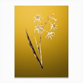 Gold Botanical Gladiolus Cuspidatus on Mango Yellow n.0263 Canvas Print