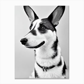 Pembroke Welsh Corgi B&W Pencil dog Canvas Print