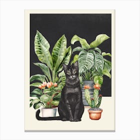 Black Cat And House Plants Canvas Print