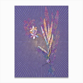 Geometric Gladiolus Plicatus Mosaic Botanical Art on Veri Peri n.0196 Canvas Print