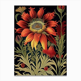 Indian Blanket Wildflower Vintage Botanical 1 Canvas Print