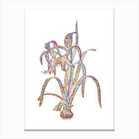Stained Glass Sprekelia Mosaic Botanical Illustration on White n.0279 Canvas Print