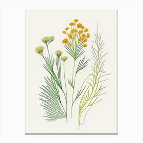 Fennel Seeds Spices And Herbs Minimal Line Drawing 7 Canvas Print
