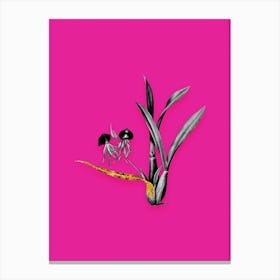 Vintage Clamshell Orchid Black and White Gold Leaf Floral Art on Hot Pink n.0276 Canvas Print