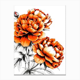 Orange Peonies 1 Canvas Print