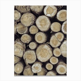 Stacked Logs Canvas Print