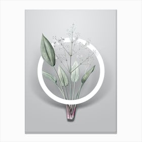 Vintage European Water Plantain Minimalist Flower Geometric Circle on Soft Gray n.0028 Canvas Print