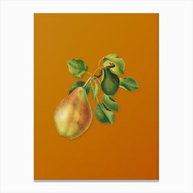 Vintage Pear Branch Botanical on Sunset Orange n.0619 Canvas Print