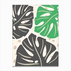 Monstera Leaves 1 Canvas Print