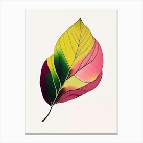 Rhododendron Leaf Abstract 4 Canvas Print
