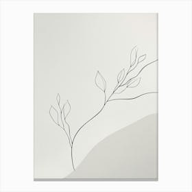 Line Drawing Of A Tree Canvas Print