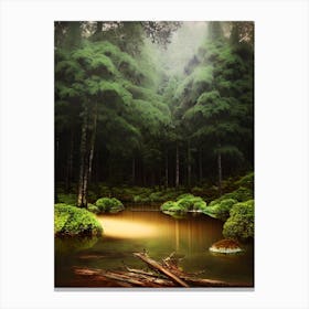 Mossy Forest 5 Canvas Print