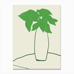 Plant In A Vase Canvas Print