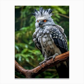 Perched Predation: Harpy Eagle Art Canvas Print