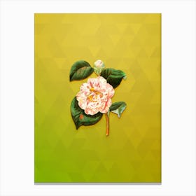 Vintage Gray's Camellia Botanical Art on Empire Yellow n.1377 Canvas Print