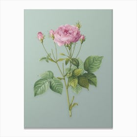 Vintage Pink French Roses Botanical Art on Mint Green Canvas Print