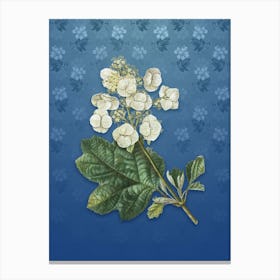 Vintage Oakleaf Hydrangea Botanical on Bahama Blue Pattern n.2368 Canvas Print