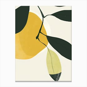 Apples Close Up Illustration 2 Canvas Print