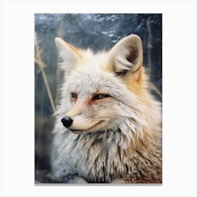 Bengal Fox Photorealistic 2 Canvas Print