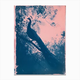 Pink & Blue Peacock Cyanotype Style 6 Canvas Print