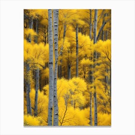 Autumn Aspen Trees Canvas Print