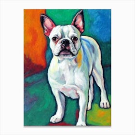 Boston Terrier Fauvist Style dog Canvas Print