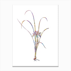 Stained Glass Grass Leaved Iris Mosaic Botanical Illustration on White n.0145 Canvas Print