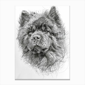 Chow Chow Dog Line Sketch 2 Canvas Print