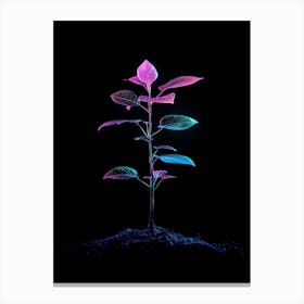 Plant In The Dark 35 Canvas Print