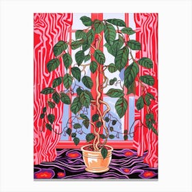 Pink And Red Plant Illustration Ficus Canvas Print