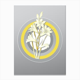 Botanical St. Bruno's Lily in Yellow and Gray Gradient n.238 Canvas Print