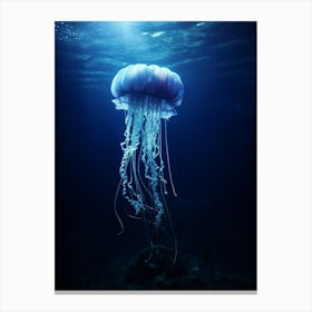 Turritopsis Dohrnii Importal Jellyfish Ocean Realistic 4 Canvas Print