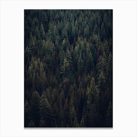 Dark Forest Wall Decor 1 Canvas Print