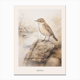 Vintage Bird Drawing Dipper 1 Poster Canvas Print