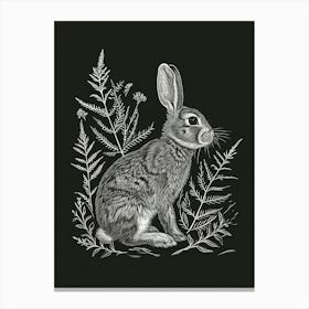 New Zealand Rabbit Minimalist Illustration 2 Canvas Print